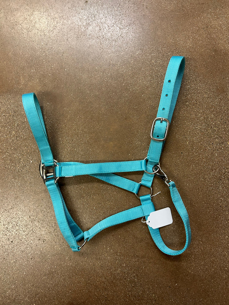 TKNH3209-DRAFT Halter Nylon Economy Hardware -Draft Assorted Colors