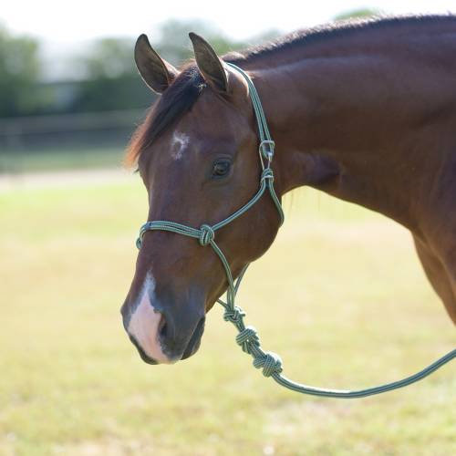 TKHRE--Grn/Tan Halter Rope w/ Lead- Easy On