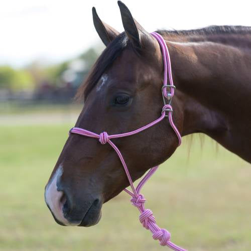 TKHRE--Pink/Wht Halter Rope w/ Lead- Easy On