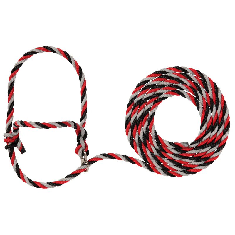 AC35-7910--425 Halter Breaking Poly Rope - Black/Grey/Red