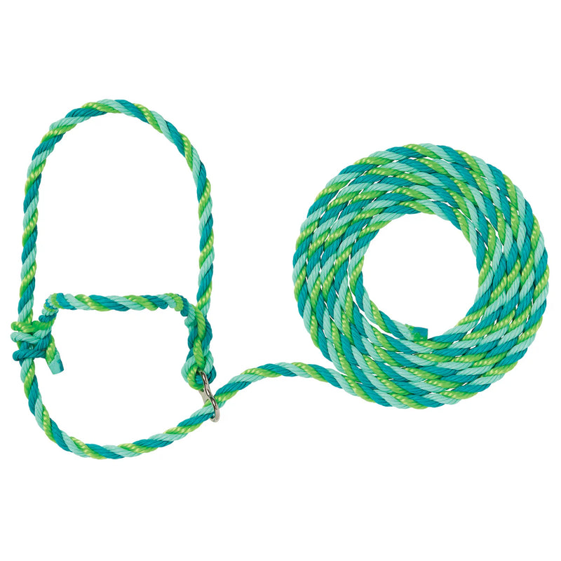 AC35-7910--477 Halter Breaking Poly Rope - Lime/Mint/Teal