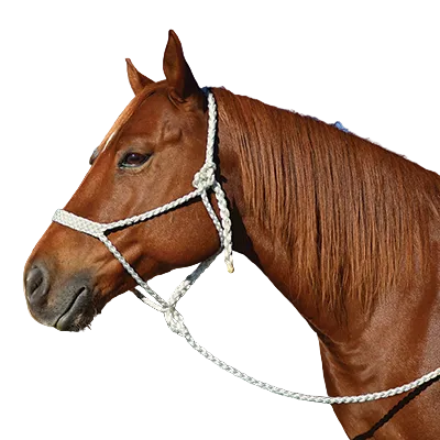 TKHALTERBR-White Halter Braided Rope w/ Lead Martin Saddlery