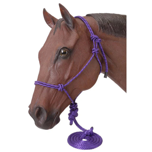TK50-1010P-Purple Halter Rope Pony