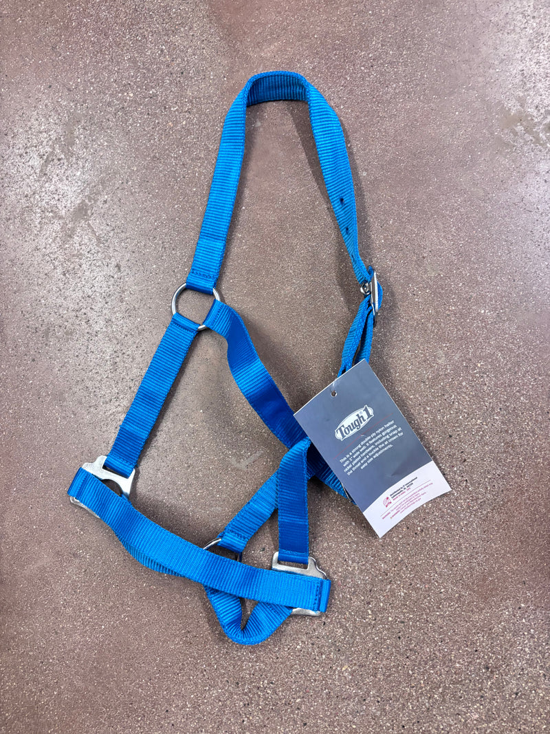 TK50-1703-Turq Nylon Pony Halter