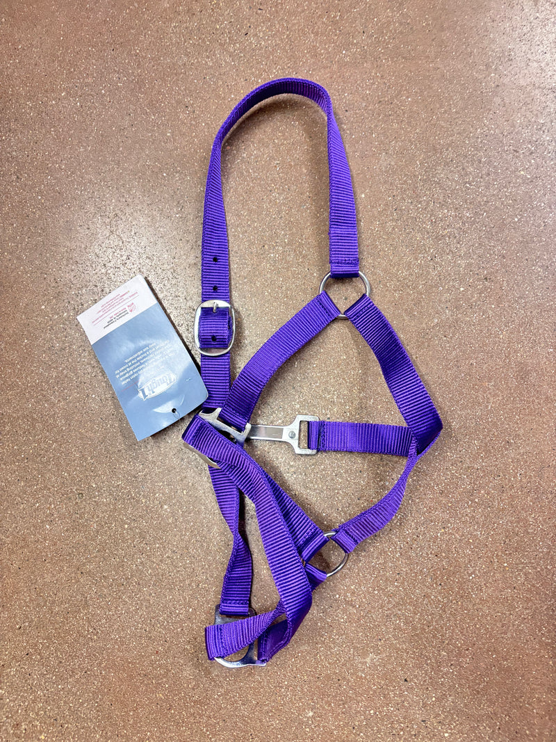 TK50-1703-Purple Nylon Pony Halter