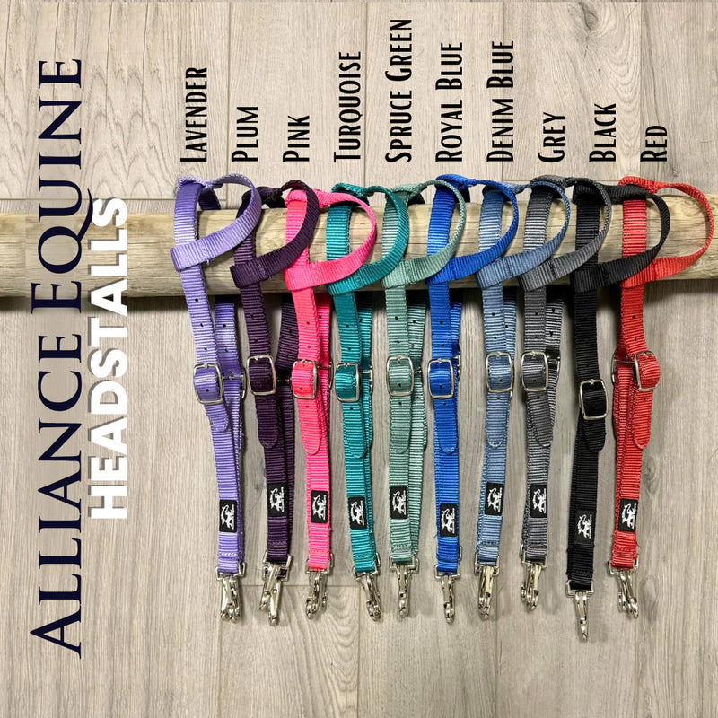 TKAE-HEADSTALL Alliance Equine Nylon Quick Change Headstall