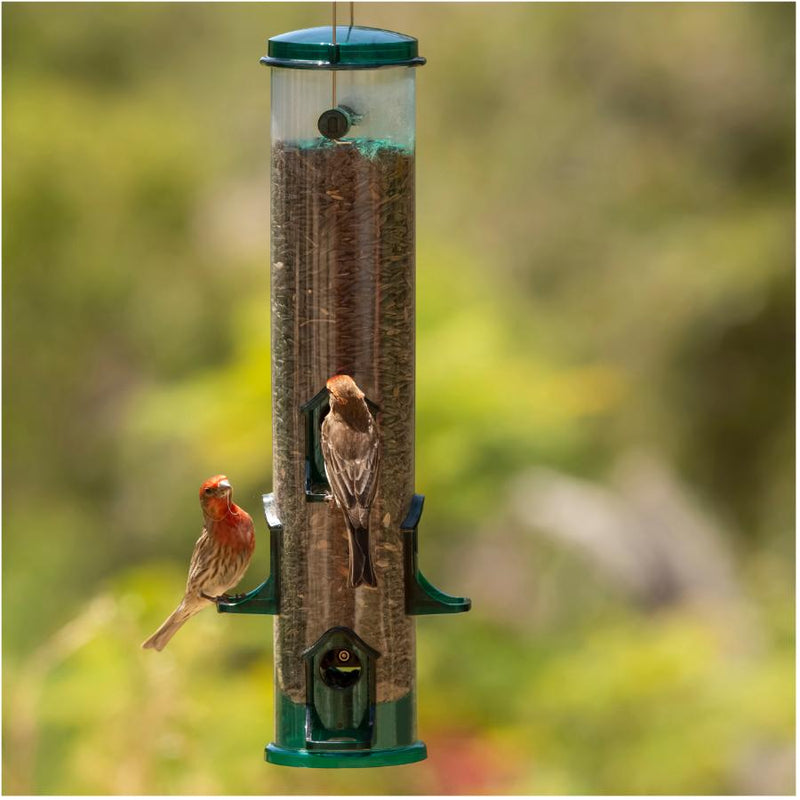 HG851003D Jumbo Tube Bird Feeder