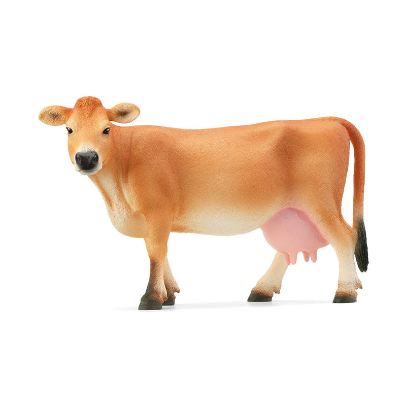 BG13967 Jersey Cow