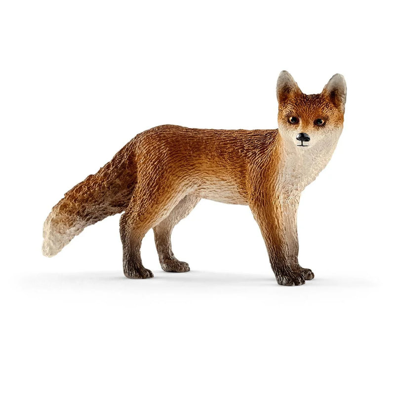 BG14782 Fox