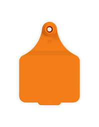 ACMAXI--Orange LEADER 2 piece Maxi Tags 25's w/button