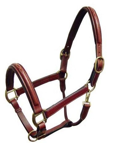 TKLH3564--Brown Leather Show Halter Raised Padded- Full