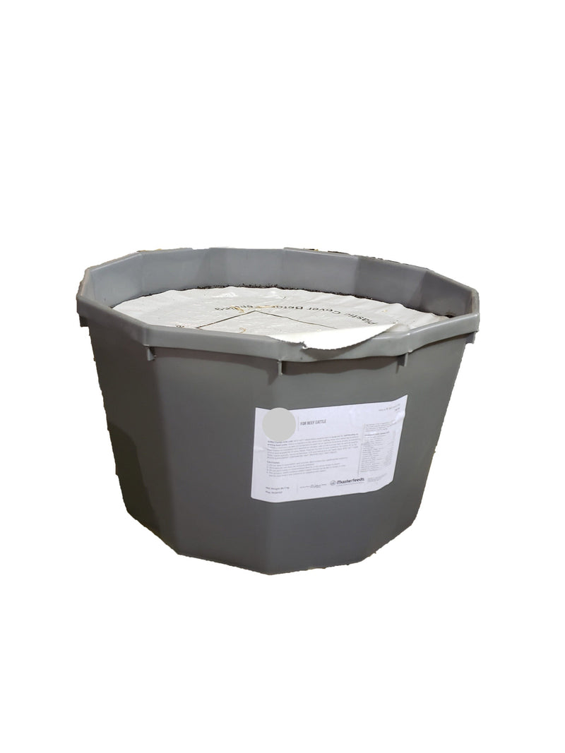 FSBLUE-2-1 Rite-Lix BLUEPRINT 2:1 Mineral PLASTIC 200lb TUB