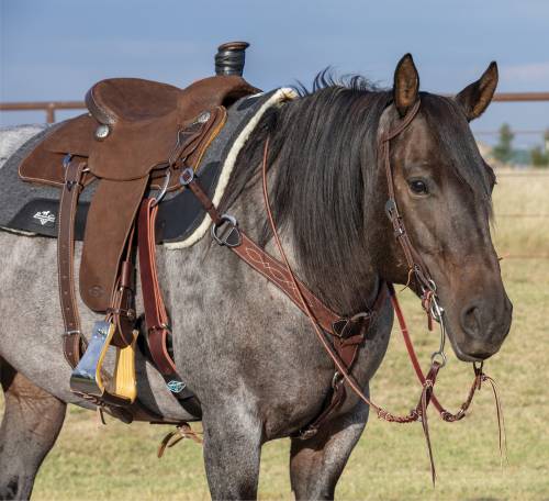 TK1165VRO-GS Breastcollar -Contoured 2" Chocolate/Rough Out Gunslinger