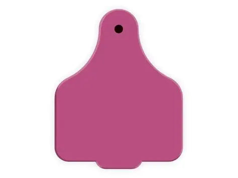 ACLARGE--Pink LEADER 2 Piece LARGE Tag 25's w/buttons