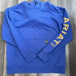 CL10062668 Ariat Men's Hoodie Logo Down the Arm