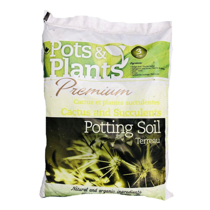 HG4284634 Potting Soil Cactus & Succlent 3l