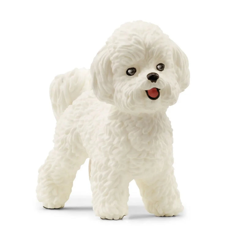BG13963 Bichon Frise Dog