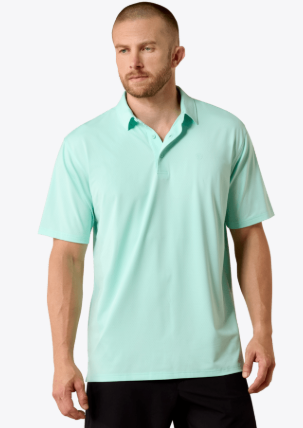 CL10071650 Ariat Mens 360 Airflow Polo Shirt- Mint