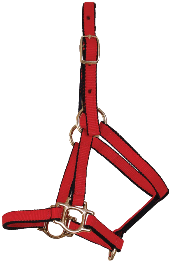 TKTBWHMIMHY-Red-Yearling Halter Ultimate Foal Burwash