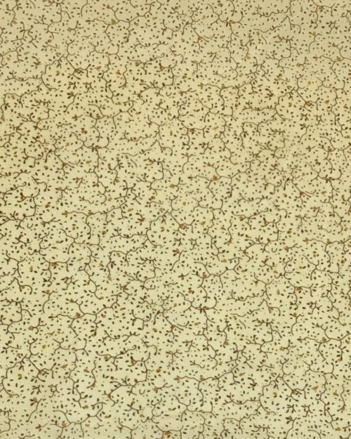 CLSCRFFRONTIER Scarf Silk Frontier - 34"