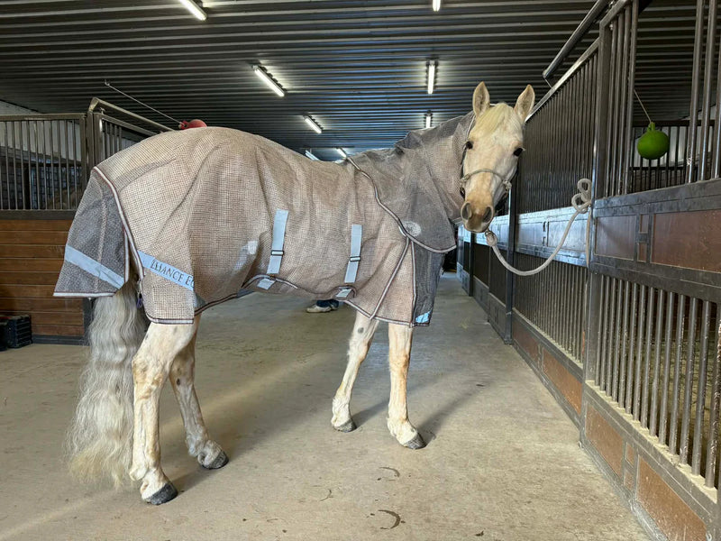 TKBUZZOFF-Brown Alliance Equine Buzz Off Fly Sheet