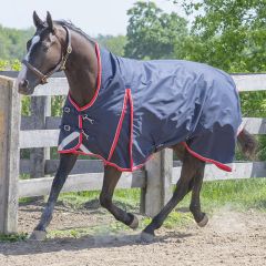 TK22509-78-Red/Blk Canadian Horsewear Turnout 300G Blanket (High Neck)