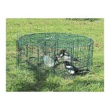 HG129703001 Trap Cage For Magpies 5 Compart.
