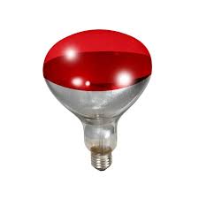 HG621130 Heat Lamp Bulb Red 250 watt R40