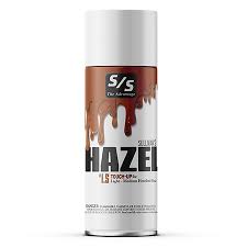 ACTUP-HAZ Touch Up Paint 10 oz -- Hazel