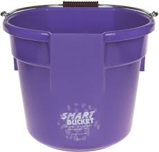 ACSMB--Purple Bucket Smart 20 Quarts
