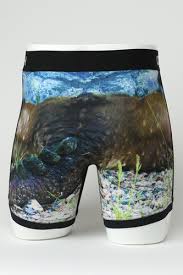 CLMXY60009020- Cinch Men's 6" Turtle Boxers