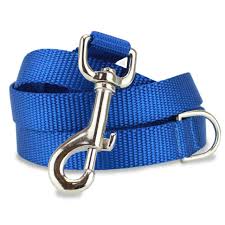 PSD598-02396-Blue Dog Lead Quick Medium Length