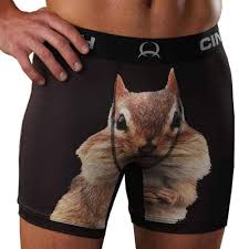 CLMXY6009001 Cinch Men's 6" Boxer Briefs- Squirrel
