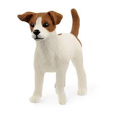 BG13916 Jack Russell Terrier