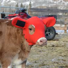 AC1180-001 Kalf Kozies Calf Hood