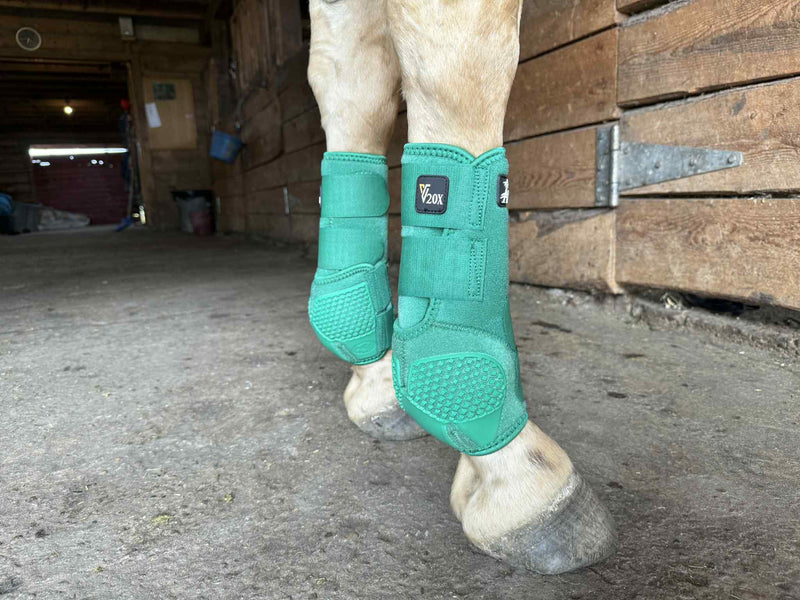 TKV20X Alliance Equine V20X Sport Protection Boot