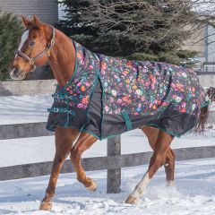 TK22509-75-Flowers Canadian Horsewear Turnout 300G Blanket (High Neck)