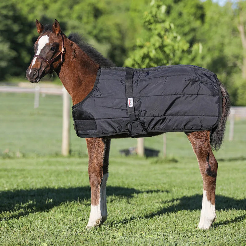 TKFB-0505 Foal Blanket 1680 Denier Poly Lining w/280Gms