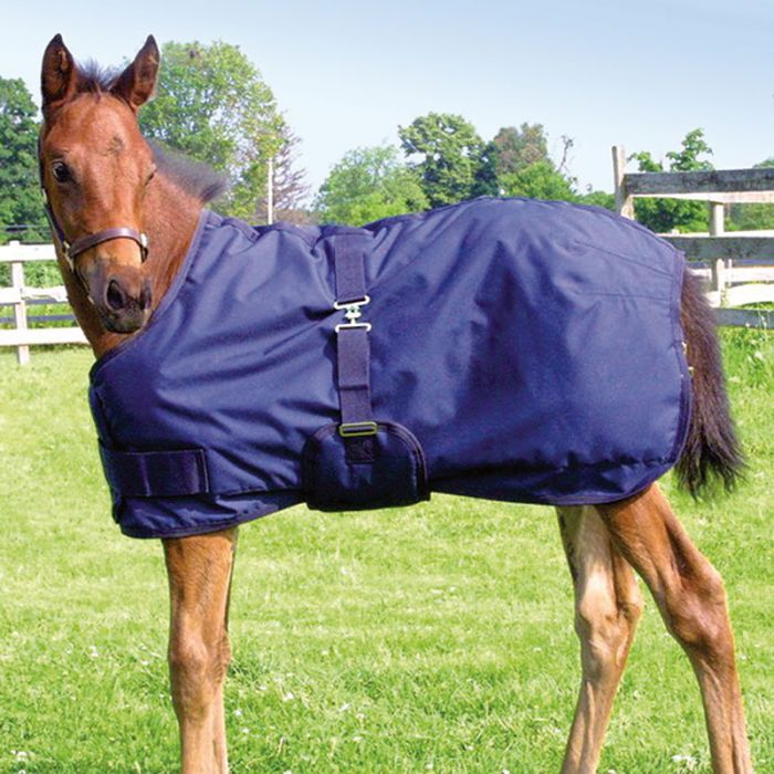 TK19225-38"-45"-Black Winter Maxim Foal & Mini 200 gm