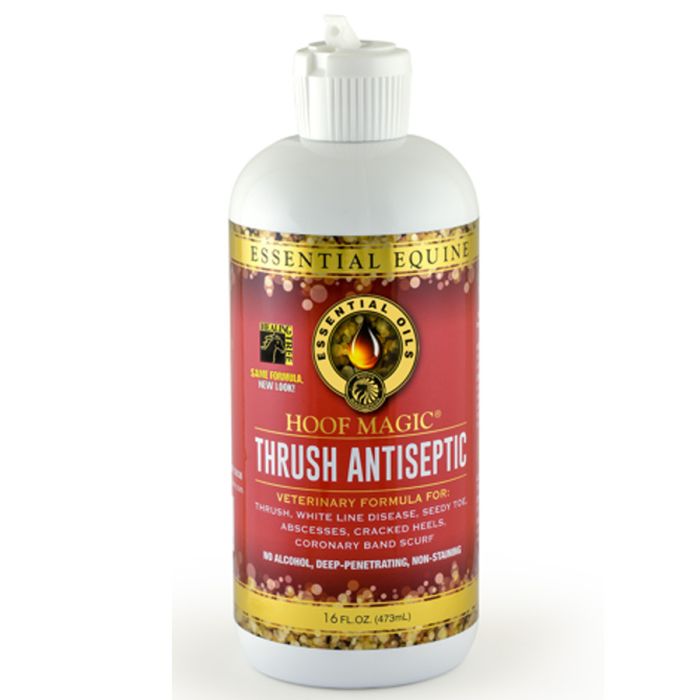 AC300103 Thrush Antiseptic 16oz