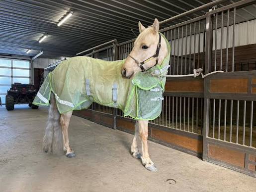 TKBUZZOFF-Lime Alliance Equine Buzz Off Fly Sheet