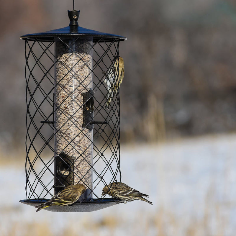 HG851141D Preserve Wild Bird Feeder