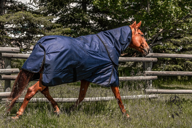 TKOG-RAIN Alliance Equine OG Rain Sheet