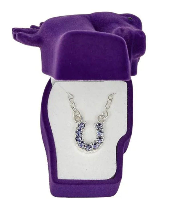 BGJN898 Horseshoe Necklace - Various Colors
