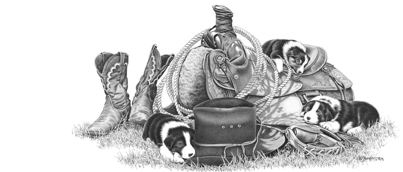 Bernie Brown Shower Curtain