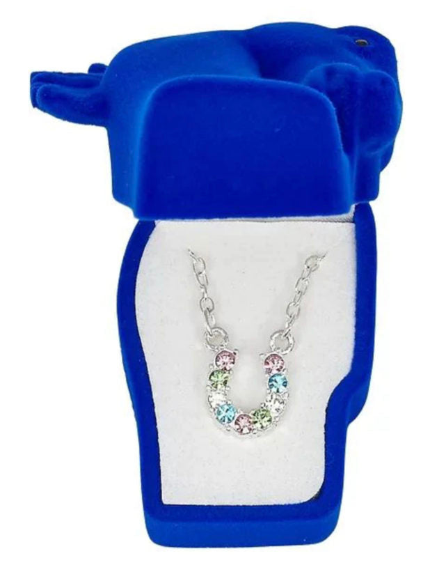 BGJN898 Horseshoe Necklace - Various Colors