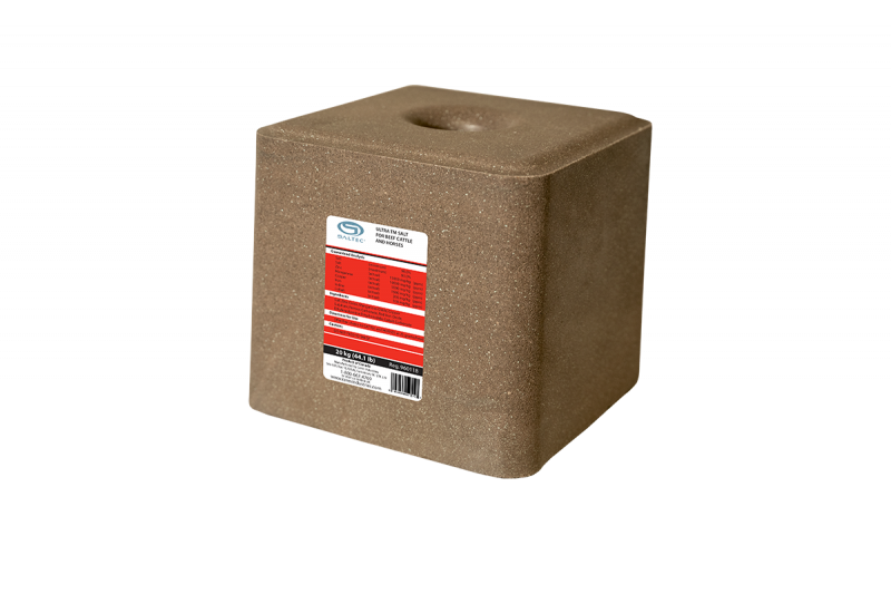 FSTM-Block(Red) BLOCK Ultra TM 20kg (Red)