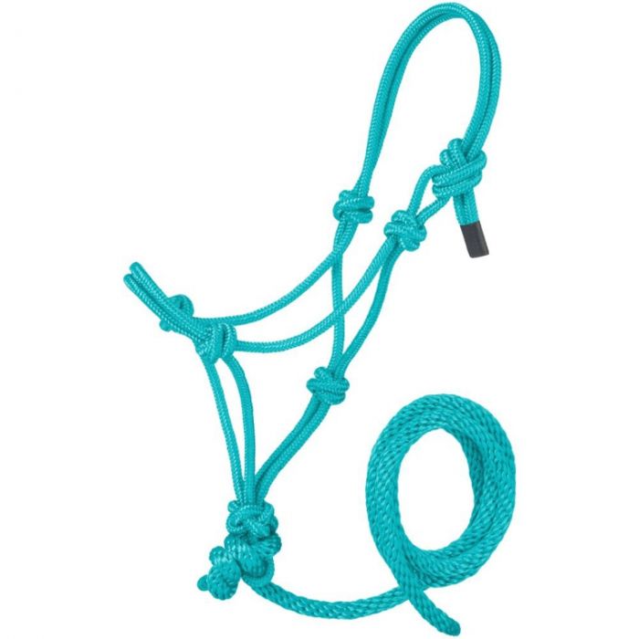 TK16-601-Large-Turq Halter Rope Miniature Poly w/Lead