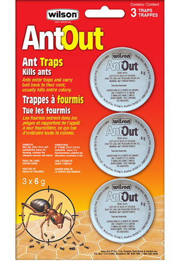 HG261891 Antout Ant Traps 3pk-Wilson