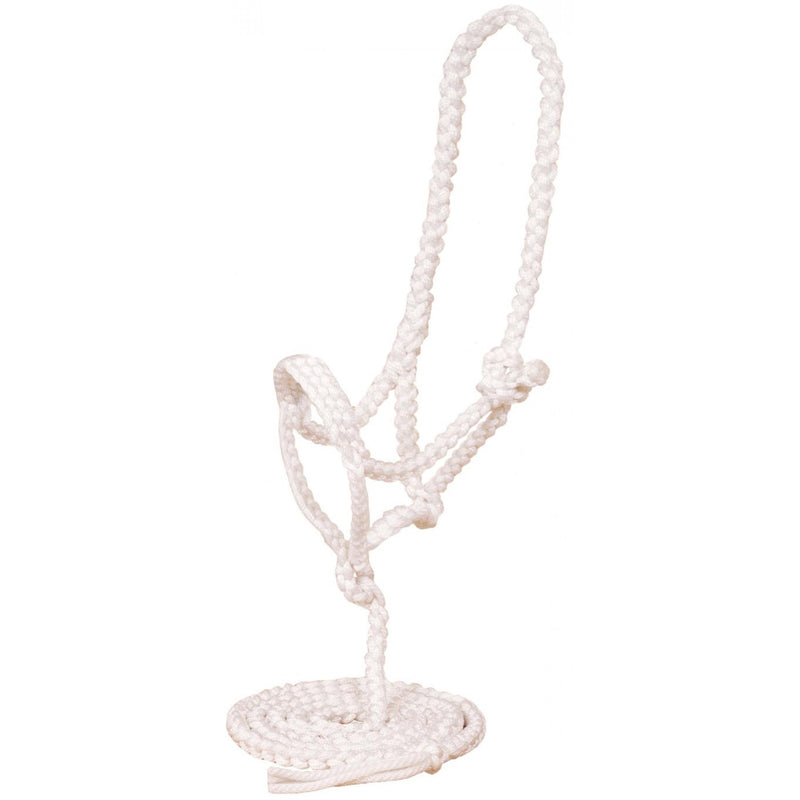 TK292827--White Halter Braided Nylon w/Noseband